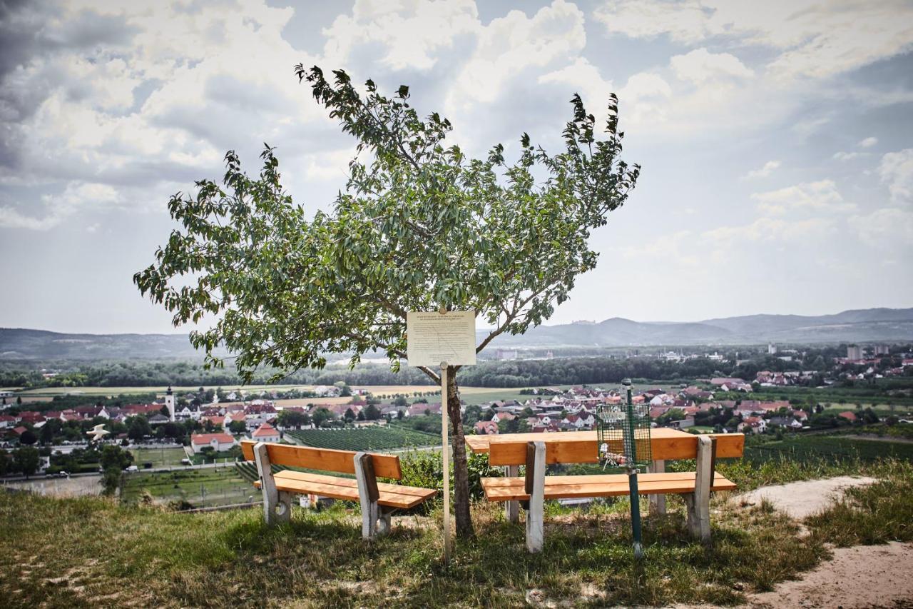 Bed and Breakfast Schmankerl Und Gast Rohrendorf bei Krems Zewnętrze zdjęcie