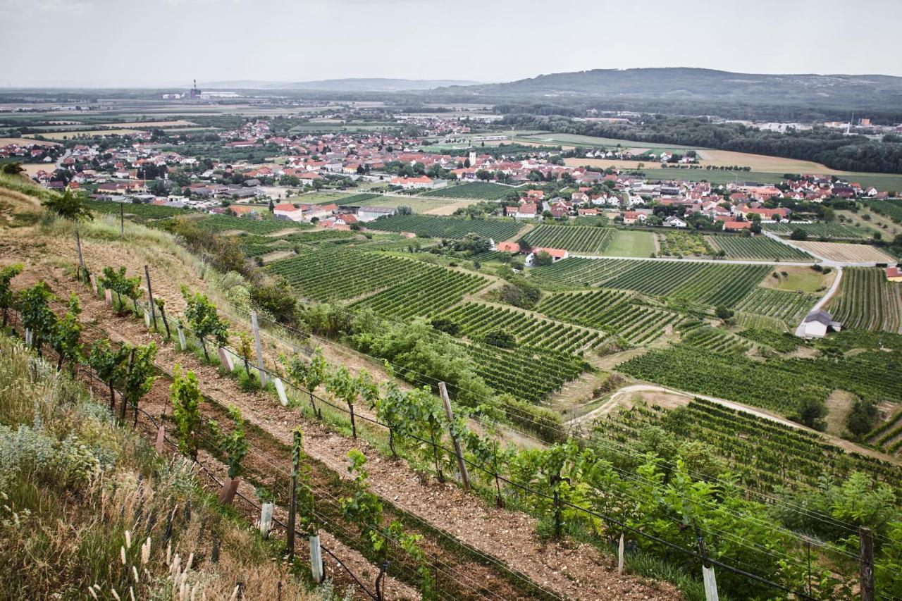 Bed and Breakfast Schmankerl Und Gast Rohrendorf bei Krems Zewnętrze zdjęcie